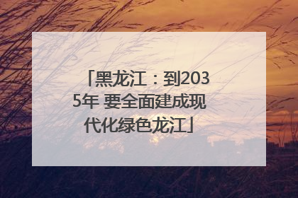 黑龙江：到2035年 要全面建成现代化绿色龙江