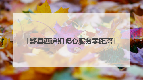 黟县西递镇暖心服务零距离