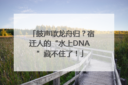 鼓声歇龙舟归？宿迁人的“水上DNA”藏不住了！