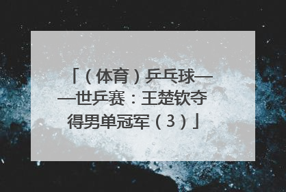 （体育）乒乓球——世乒赛：王楚钦夺得男单冠军（3）