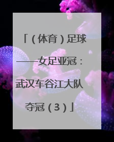 （体育）足球——女足亚冠：武汉车谷江大队夺冠（3）