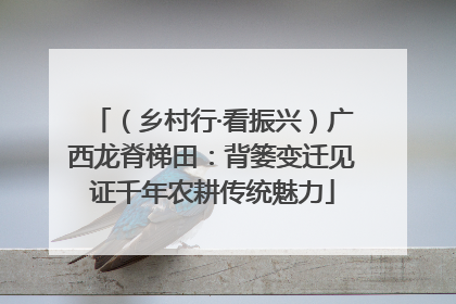 （乡村行·看振兴）广西龙脊梯田：背篓变迁见证千年农耕传统魅力