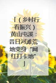（乡村行·看振兴）黄山屯溪：昔日河滩荒地变身“网红打卡地”
