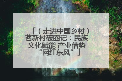 （走进中国乡村）茗新村破圈记：民族文化赋能 产业借势 “网红东风”