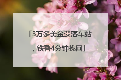 3万多美金遗落车站，铁警4分钟找回