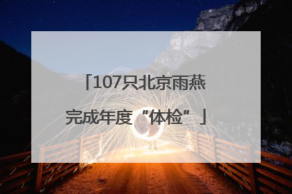 107只北京雨燕完成年度“体检”
