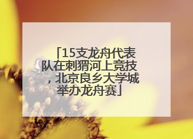 15支龙舟代表队在刺猬河上竞技，北京良乡大学城举办龙舟赛