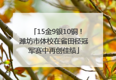 15金9银10铜！潍坊市体校在省田径冠军赛中再创佳绩