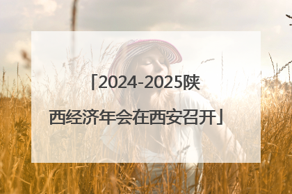 2024-2025陕西经济年会在西安召开