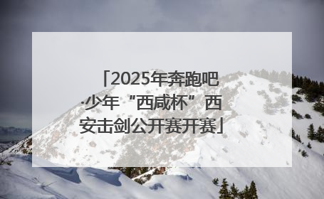 2025年奔跑吧·少年“西咸杯”西安击剑公开赛开赛