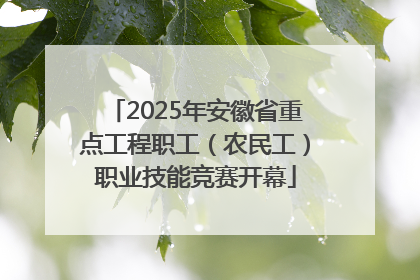 2025年安徽省重点工程职工（农民工）职业技能竞赛开幕