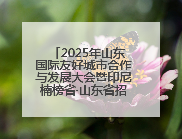 2025年山东国际友好城市合作与发展大会暨印尼楠榜省·山东省招商交流会在济南槐荫举行