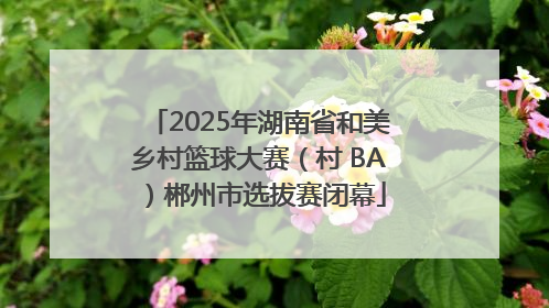 2025年湖南省和美乡村篮球大赛（村 BA）郴州市选拔赛闭幕