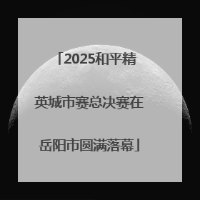 2025和平精英城市赛总决赛在岳阳市圆满落幕