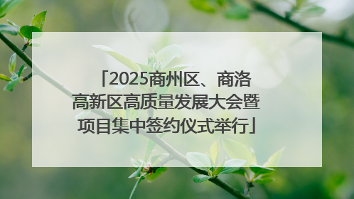 2025商州区、商洛高新区高质量发展大会暨项目集中签约仪式举行