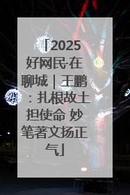 2025好网民·在聊城｜王鹏：扎根故土担使命 妙笔著文扬正气