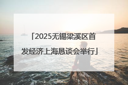 2025无锡梁溪区首发经济上海恳谈会举行