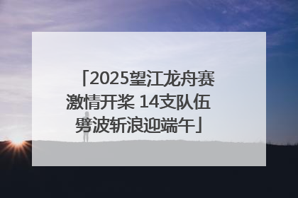 2025望江龙舟赛激情开桨 14支队伍劈波斩浪迎端午