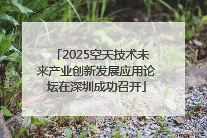 2025空天技术未来产业创新发展应用论坛在深圳成功召开