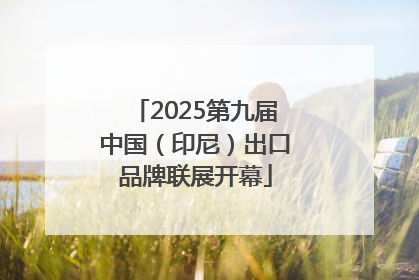 2025第九届中国（印尼）出口品牌联展开幕
