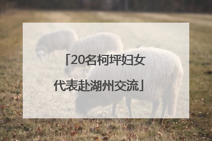 20名柯坪妇女代表赴湖州交流