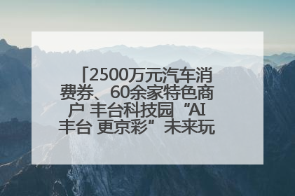 2500万元汽车消费券、60余家特色商户 丰台科技园“AI丰台 更京彩”未来玩家市集活动正式开幕