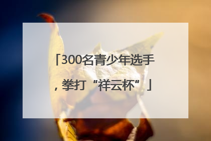 300名青少年选手，拳打“祥云杯”