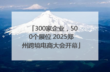 300家企业，500个展位 2025郑州跨境电商大会开幕