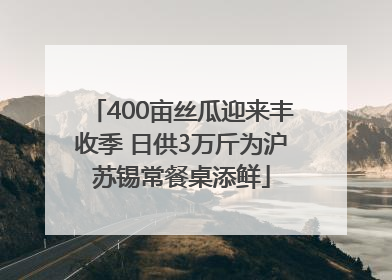 400亩丝瓜迎来丰收季 日供3万斤为沪苏锡常餐桌添鲜