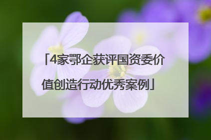 4家鄂企获评国资委价值创造行动优秀案例