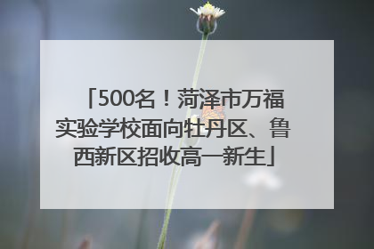 500名！菏泽市万福实验学校面向牡丹区、鲁西新区招收高一新生