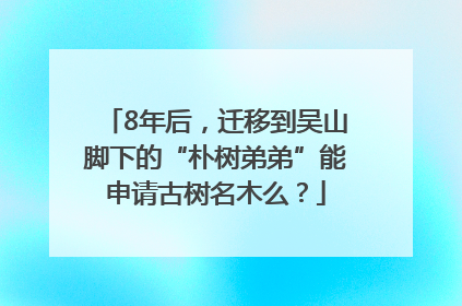 8年后，迁移到吴山脚下的“朴树弟弟”能申请古树名木么？