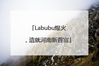 Labubu爆火，造就河南新首富