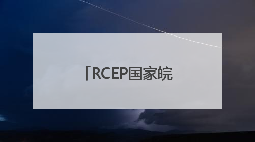 RCEP国家皖籍侨团联盟扩容