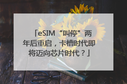 eSIM“叫停”两年后重启，卡槽时代即将迈向芯片时代？